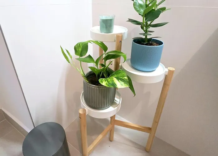 Erleben Im 1 Appartement Vienne